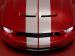 Shelby Shelby Cobra GT500 Picture #18